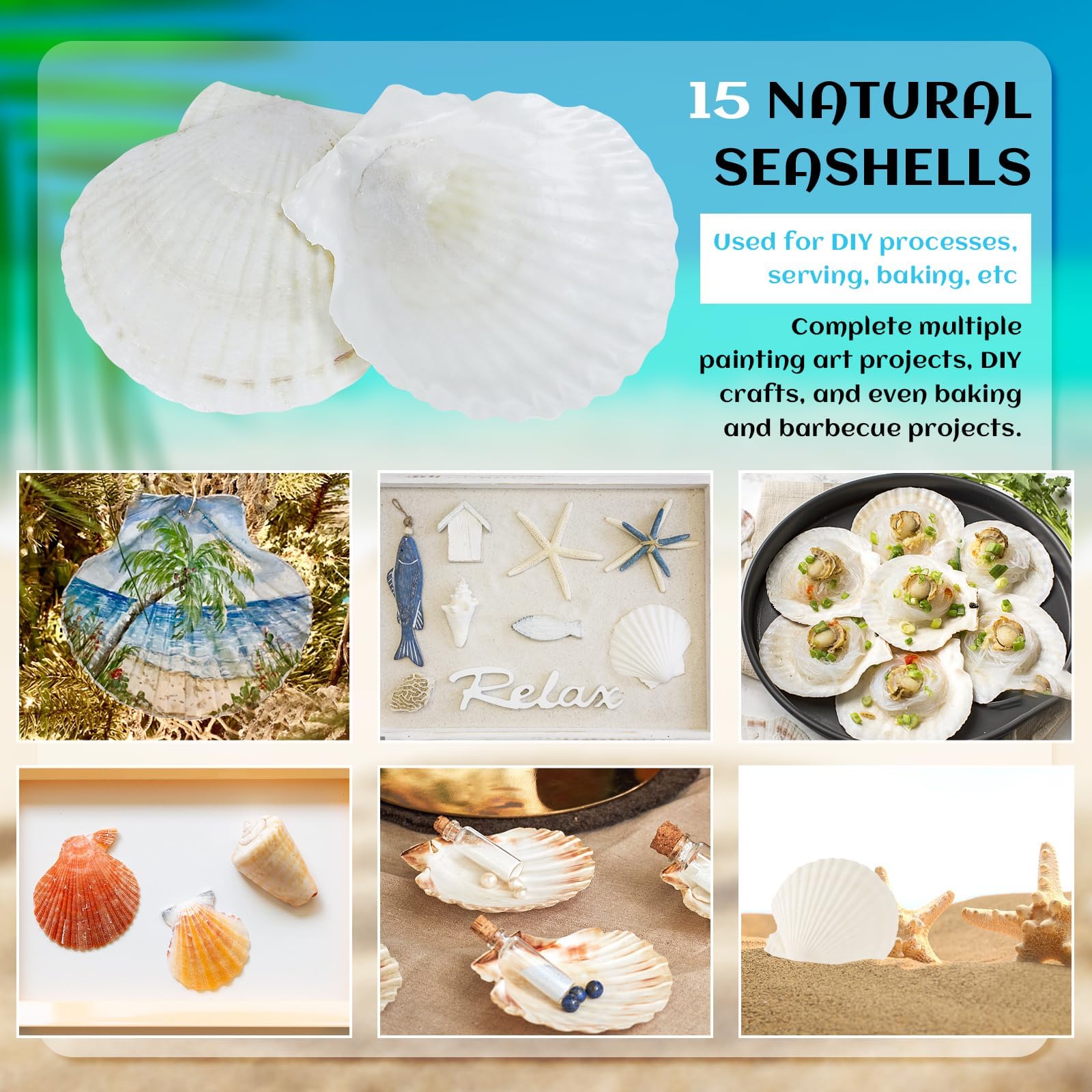 seashell　4枚 Amazon.com: Jangostor 10 PCS Scallop Shells Natural Seashell